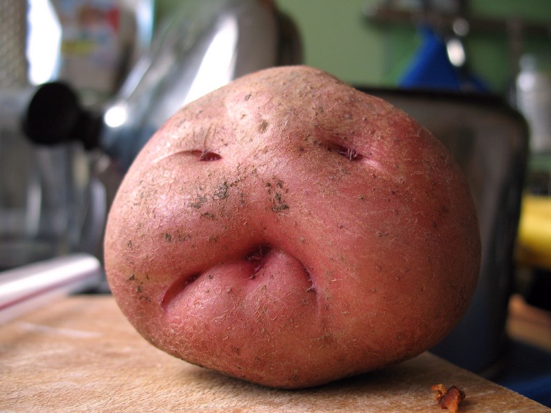 grumpy-potato