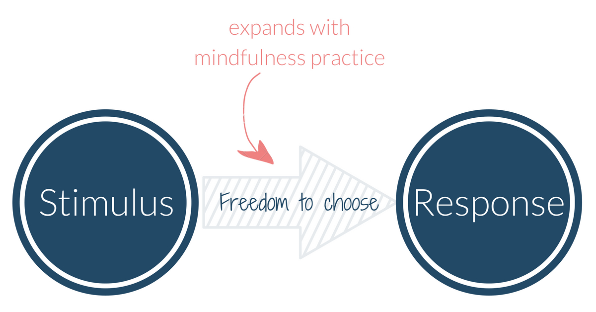 mindfulness_practice_stimulus_response