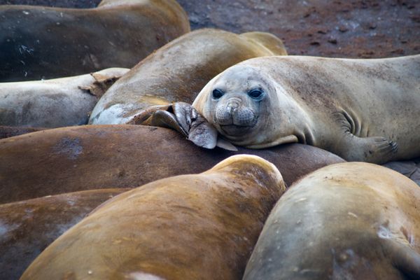 Progressive Muscle Relaxation For Anxiety