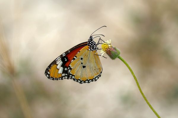 Innere Unruhe: 7 Schritte zu mehr Gelassenheit und Ruhe